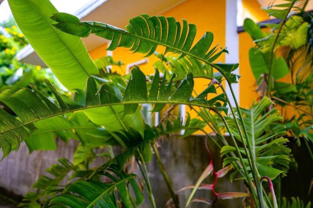 Little Yellow House- Aonang Ao Nang Eksteriør billede